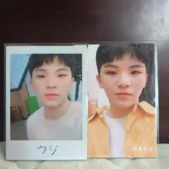 SEVENTEEN HARU　ウジ