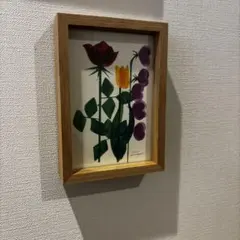 2026年最新】山口一郎展の人気アイテム - メルカリ