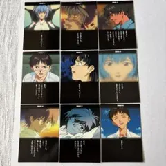 新世紀エヴァンゲリオン　「EVANGELION」 カードダスマスターズⅡ 9枚
