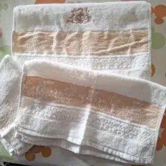 Item thumbnail for item 6ac2d7cf-3f22-4f06-b295-2e0831f340f3