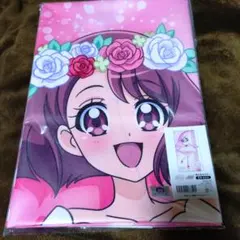 ヒーリングっど プリキュア 特大布ポスター 花寺のどか ヒーリングっど プリキュア 特大布ポスター 花寺のどか - メルカリ