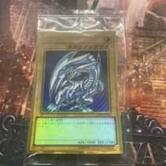 海外限定】遊戯王 青眼の精霊龍 スリーブ 100枚 新品未開封 海外限定