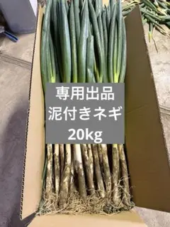 みくさまー様 専用出品 6月以降準備出来次第の発送です