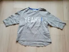 ユナイテッドアローズ　グリーンレーベルリラクシング　7部袖 115