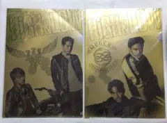 HiGH&LOW メタリッククリアファイル 2枚セット
