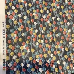 Item thumbnail for item 412c877a-4f4c-4671-8c6f-b98234600593