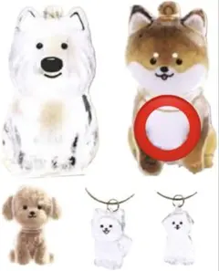 わんこのタイムカプセル