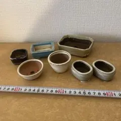 小品盆栽　鉢8個セット
