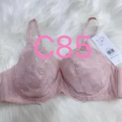 トリンプ 美胸ホールドブラ フルカップブラジャー ピンク C85