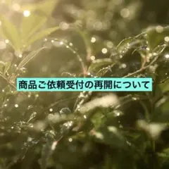 商品ご依頼受付の再開について