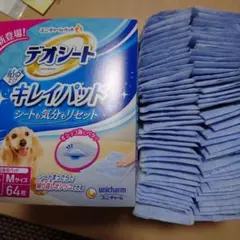 Item thumbnail for item a02f8442-ebf0-4f6a-b83c-a803b3dabce2