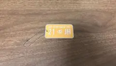 TWICE プレートキーホルダー ジヒョ