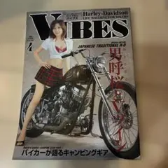 VIBES 2007年4月号 Vol.162