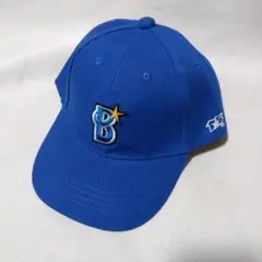 Item thumbnail for item 6169afc4-5fb8-491c-a108-5564c66dd558