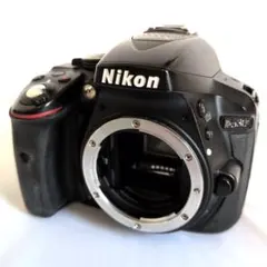 ジャンク・電源不良】Nikon D5300 ボディ 部品取り 修理用 - メルカリ