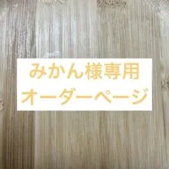 【みかん様専用オーダーページ】ホイップデコ　トレカケース　緑　1点