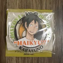 2025年最新】ハイキュー アクリルバッジ 2016の人気アイテム - メルカリ
