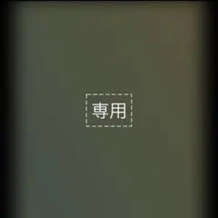 さーちゃん様 リクエスト 4点 まとめ商品