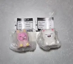 SKZOO マスコットライト ヒョンジン チャンビン トゥエッキ ジニレット