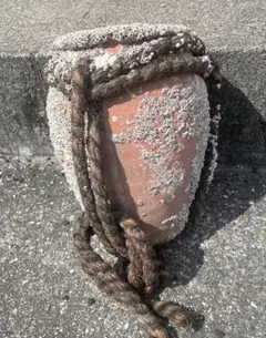 Item thumbnail for item 9cb18725-c336-46d3-a382-5739412dbda7