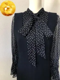 アプワイザーリッシェ ボウタイブラウス×ジャンスカセット