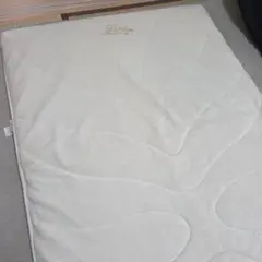 Item thumbnail for item 308f6dde-2c88-4008-b203-75dde8c03911