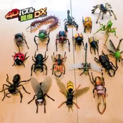 4Dパズル昆虫DX まとめ売り コンプリートセット フィギュア