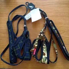 Item thumbnail for item a5eba366-196f-41ea-aa5e-b96b5a7ae814