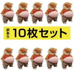 【訳あり】10枚 柴犬 ぷにぷに シール おなか 立体 ぷっくり シール帳 イヌ