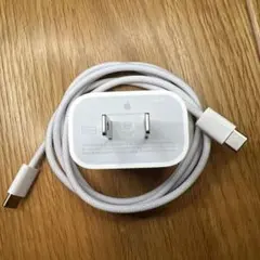 純正品 Apple 20W USB-C充電器と編み込み式ケーブルセット