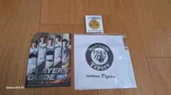 阪神タイガース 2026年選手ガイドとメダルセット