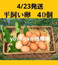 平飼い卵80個3/14常温発送 平飼い卵80個4/24常温発送 - メルカリ