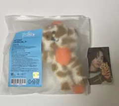ボネクド ケッピ ソンホ