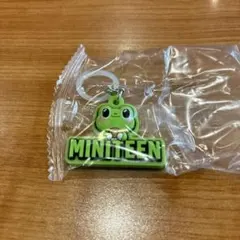 SEVENTEEN miniteen ぷくっとめじるしアクセサリー　ディパリ