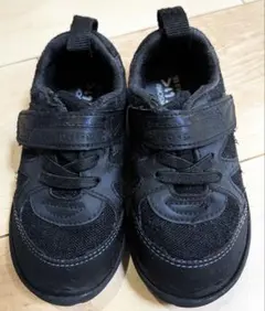 Item thumbnail for item b9f6f2ee-35c3-4059-bfe9-e06993824ce8