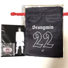 ルナ様用 StrayKids VR スンミン22巾着＆アクスタ　スキズ