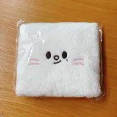 Straykids スキズ ペンミ 入場特典 タオル ジニレット ヒョンジン