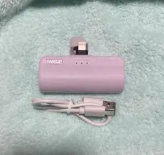 iWALK 充電器 パープル 充電用タイプCケーブル付き