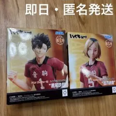 ハイキュー!! ハイプレミアムフィギュア 黒尾鉄朗 孤爪研磨
