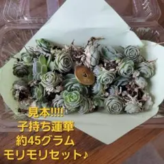 mican様 リクエスト 4点 まとめ商品