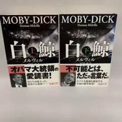 白鯨 上巻・下巻　2冊セット 田中 西二郎 / メルヴィル,H.(ハーマン)