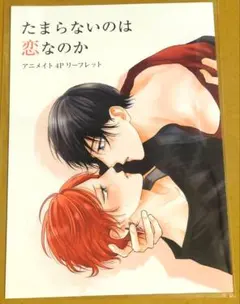 たまらないのは恋なのか 空華みあ アニメイト フェア 特典 リーフレット