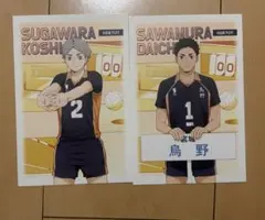 ハイキュー ポストカード　アニメイト特典　烏野　2枚セット　澤村　菅原