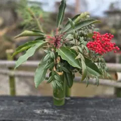 Item thumbnail for item 1899306a-c09c-4dd7-a5c8-20c9b1423d11