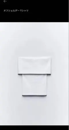 ZARA オフショル