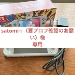 Nintendo Switch Lite ポケモン　 ザシアン•ザマゼンタ
