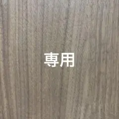 専用