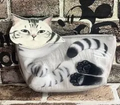 みっちりフィット 猫は液体ポーチ　サバトラ　フェリシモのサムネイル