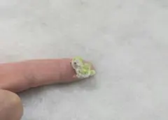 persica様 リクエスト 2点 まとめ商品