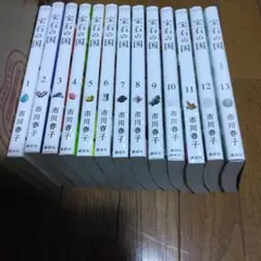 2026年最新】宝石の国（13）特装版の人気アイテム - メルカリ